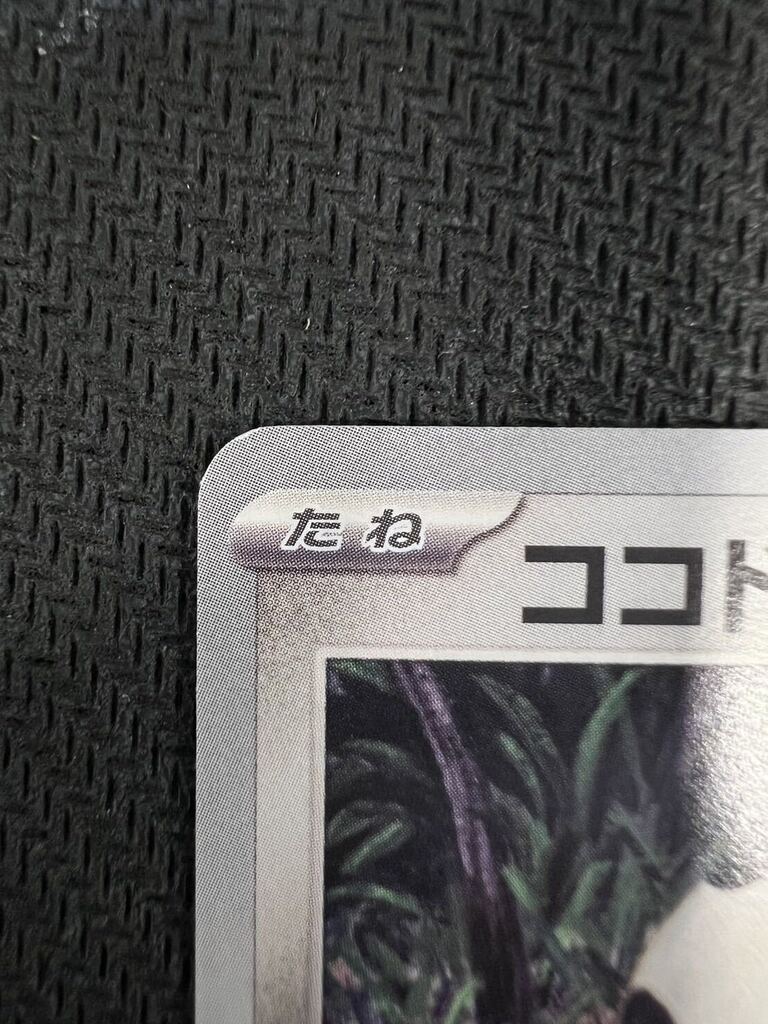 状態A-の参考写真:表面の軽度の白カケ